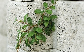 Bloc de zid de colt