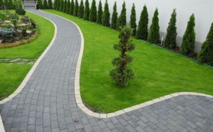 Dreptunghi D2